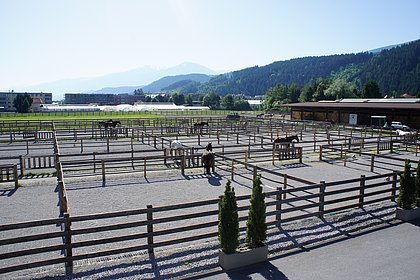 Unsere Paddocks